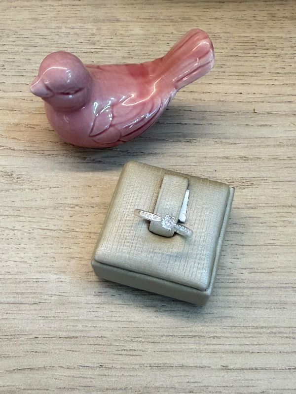 ANEL SOLITARIO MEDIO CRAVEJADO